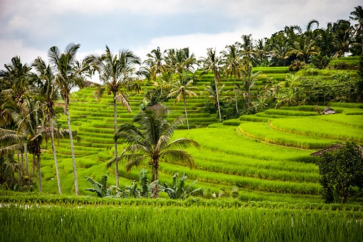 3 bonnes raisons de voyager à Bali