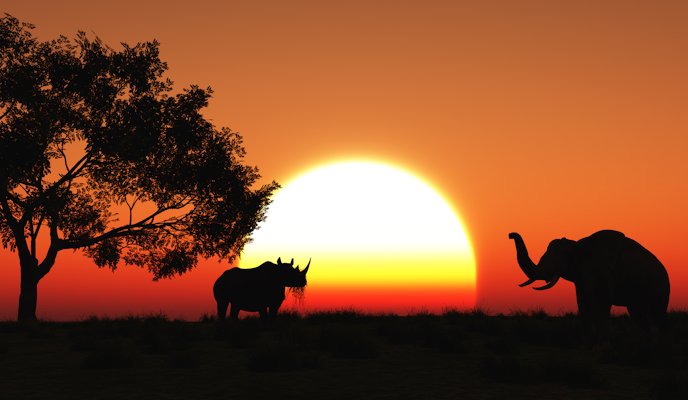 Partir en Afrique pour faire  du safari: laissez-vous tenter