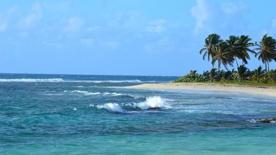 Vacances en Guadeloupe : les endroits incontournables à visiter