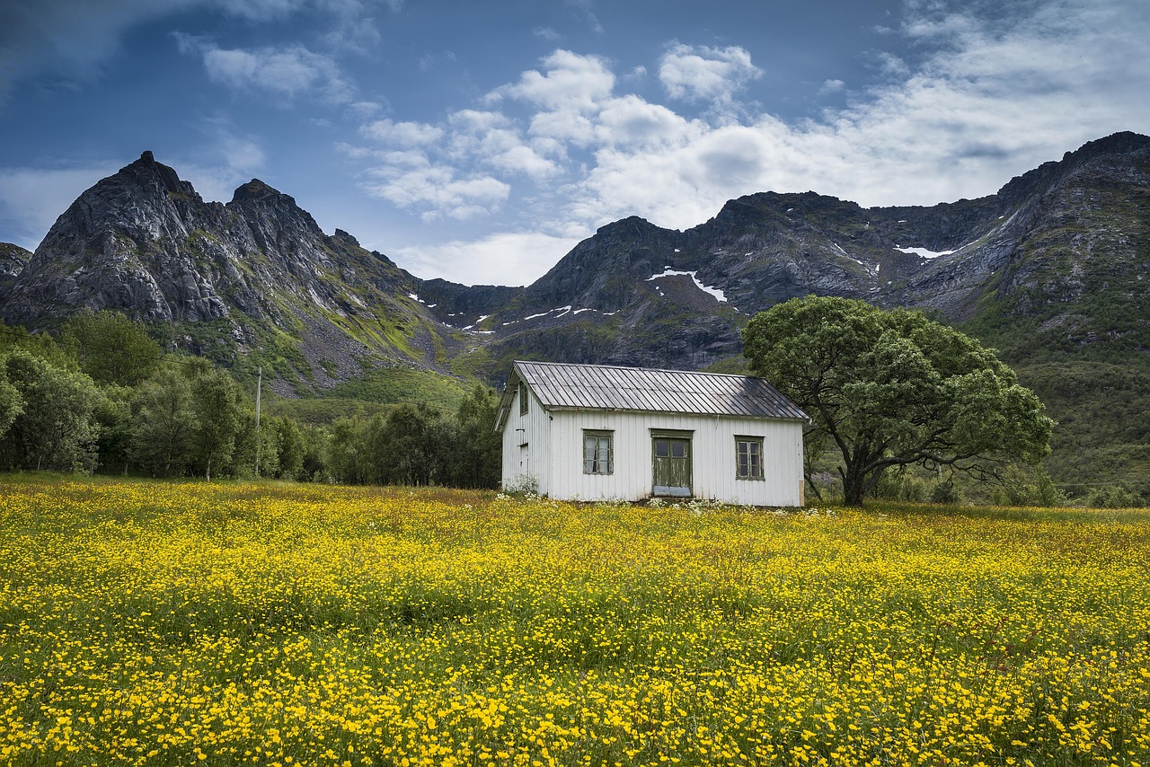 le mal du pays : comprendre et surmonter la nostalgie de chez soi, ses causes et ses effets émotionnels.