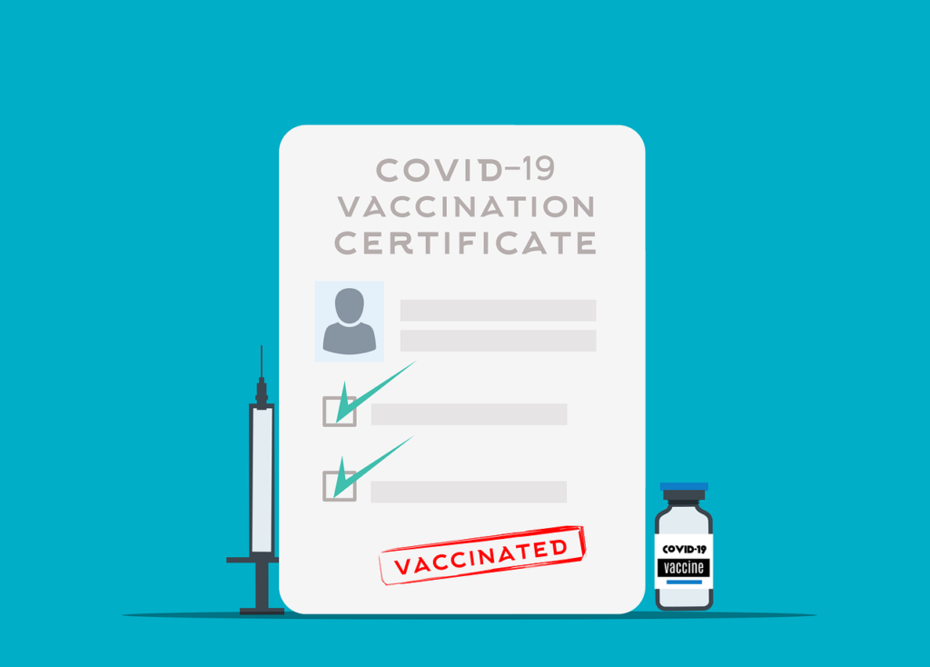 conseils et informations essentielles pour votre santé en voyage, incluant vaccinations, prévention des maladies et conseils médicaux pour des déplacements en toute sécurité.