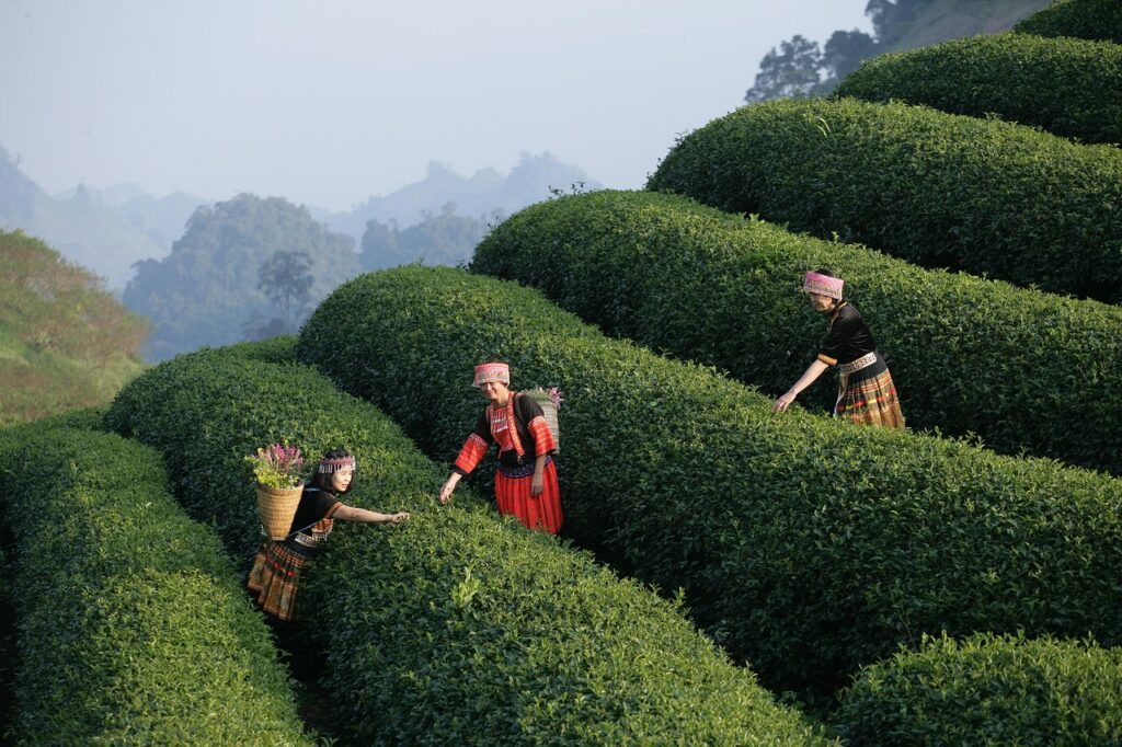 découvrez des expériences inoubliables qui marqueront votre vie à jamais. vivez des moments uniques et mémorables avec nos offres exclusives.